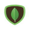 mongodb