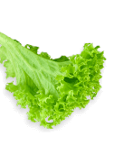 veg